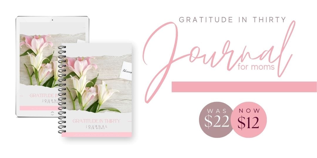 Gratitude in Thirty Journal Graphic